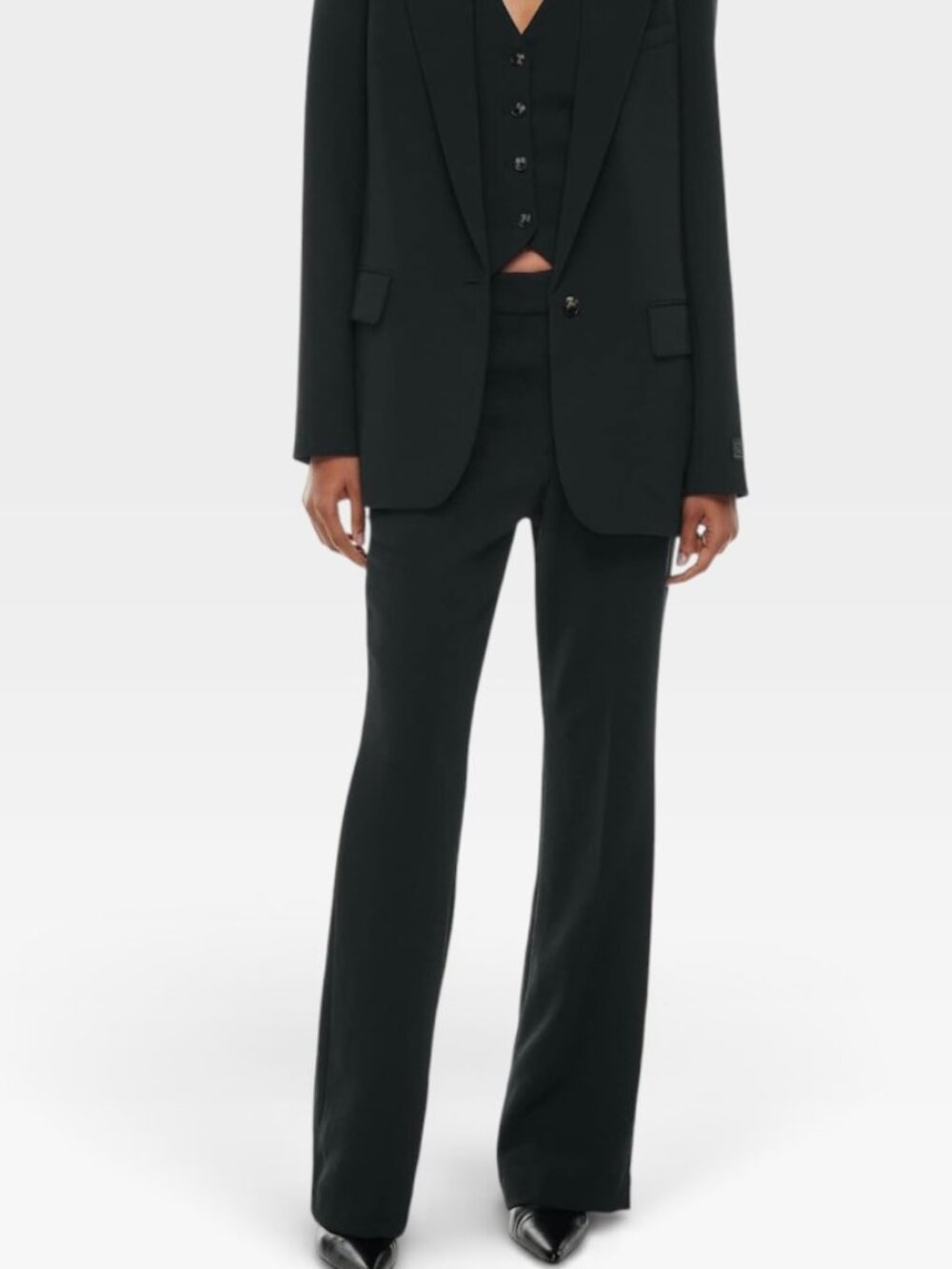 Aritzia Wilfred Cabaret Pants Black